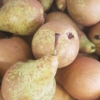 Conference Pears
