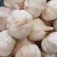 Garlic Bulbs
