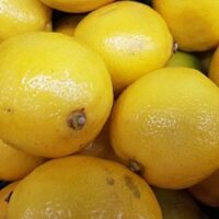 Lemons pack of 4