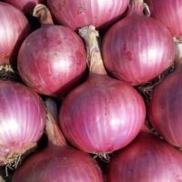 Red Onion