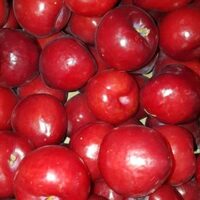 Plums
