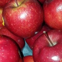 Red Delicious Apples