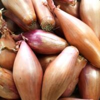 Shallots